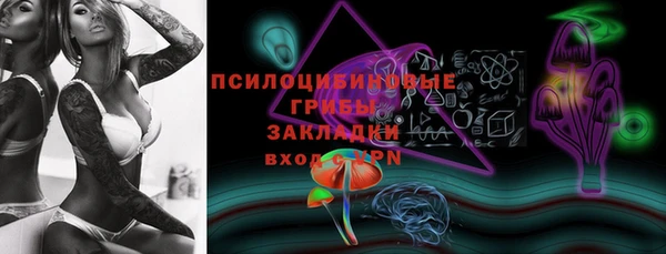 молекула духа Вязники
