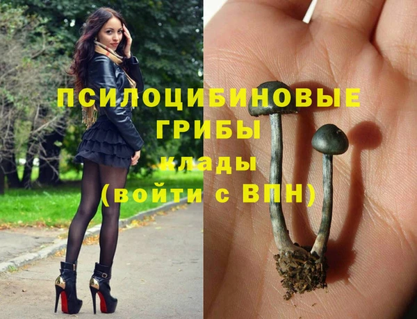 молекула духа Вязники