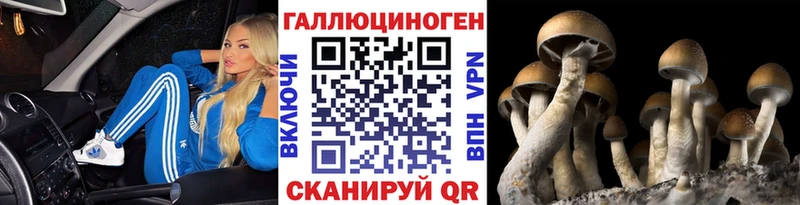 Псилоцибиновые грибы Psilocybe  Купить  Могоча 