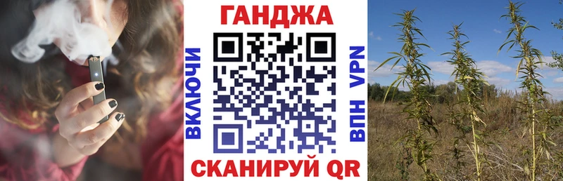Купить закладки  Могоча  Каннабис сатива 